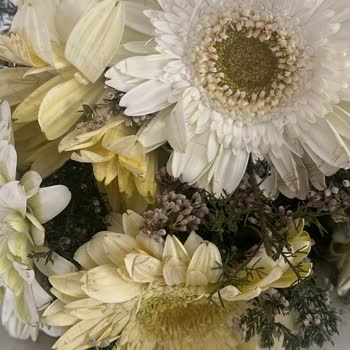 Çiçek Sepeti'nde Teslimat Ve İletişim Sorunları