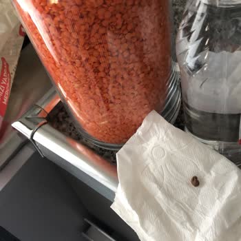 Mercimek Paketinde Şok Edici Buluntu