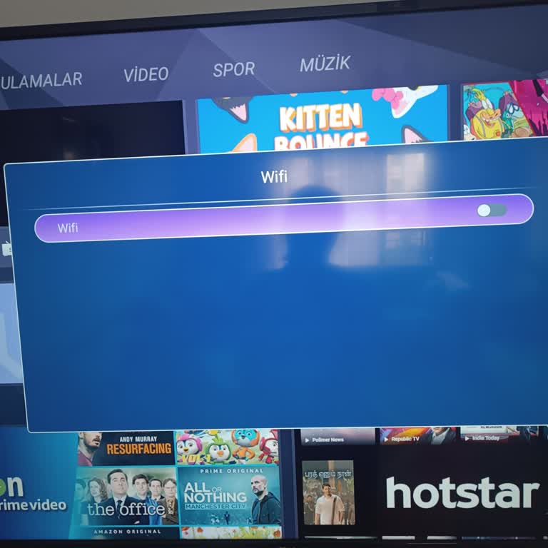 Skytech Wi-Fi Bağlantı Sorunu