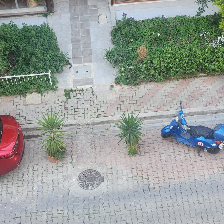 Otopark Girişine Yanlış Yerleştirilen Bitkiler