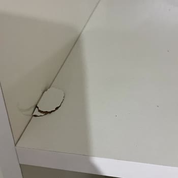 Kurulum Sorunları Ve İletişim Eksikliği Hayal Kırıklığı Yarattı