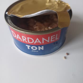 Ton Balığında Taş Şoku: Sağlık Tehlikesi