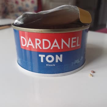 Ton Balığında Taş Şoku: Sağlık Tehlikesi