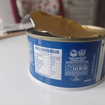 Ton Balığında Taş Şoku: Sağlık Tehlikesi