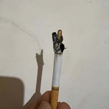 Marlboro Red Long'un Kalitesi Düşüyor: Tadı Ve Dumanı Yok