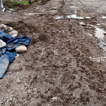 Belediye Kazısı Sonrası Çamur Sorunu Çözülmüyor