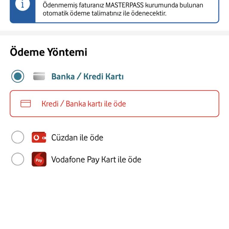 Ödeme Talimatı Sorunu: Her Ay Aynı Çile