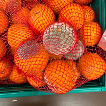 Küflü Ürünler Ve İhmal Edilen Kontroller!