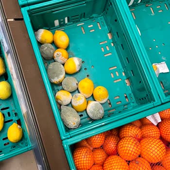 Küflü Ürünler Ve İhmal Edilen Kontroller!