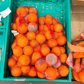 Küflü Ürünler Ve İhmal Edilen Kontroller!