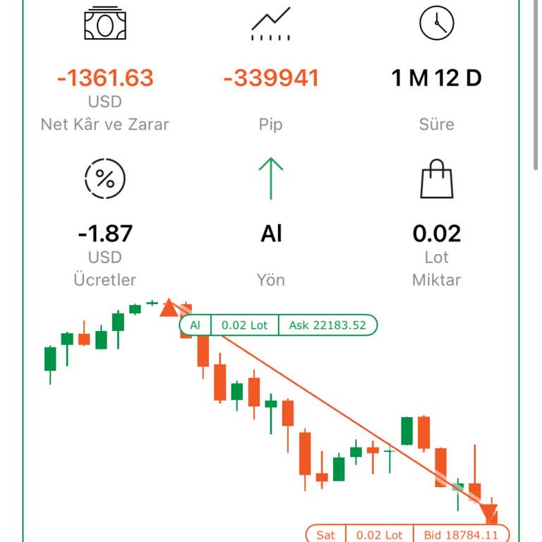 Yanıltıcı Tavsiyelerle Kaybedilen Yatırımlar