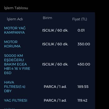 Fiat Egea Servis Süreçlerinde Yaşanan Sorunlar