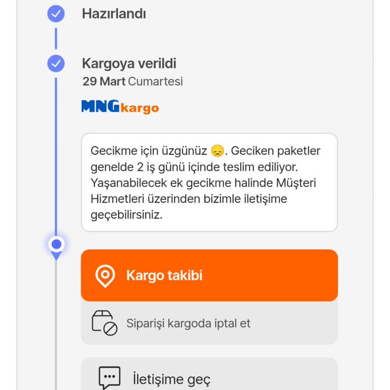 Teslimat Gecikmesi: MNG Kargo İle Yaşanan Sorun