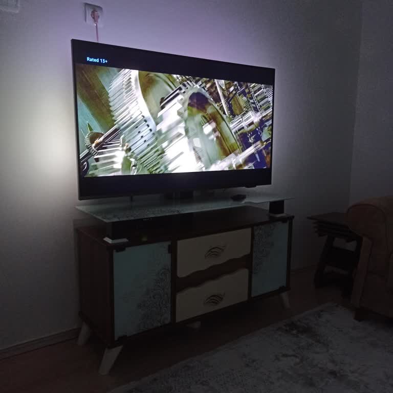 Philips Televizyonunda İzleme Deneyimini Bozan Ekran Sorunu