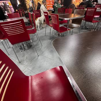 Burger King'de Hijyen Ve Hız Sorunu