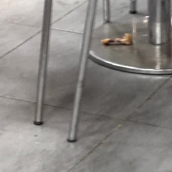 Burger King'de Hijyen Ve Hız Sorunu
