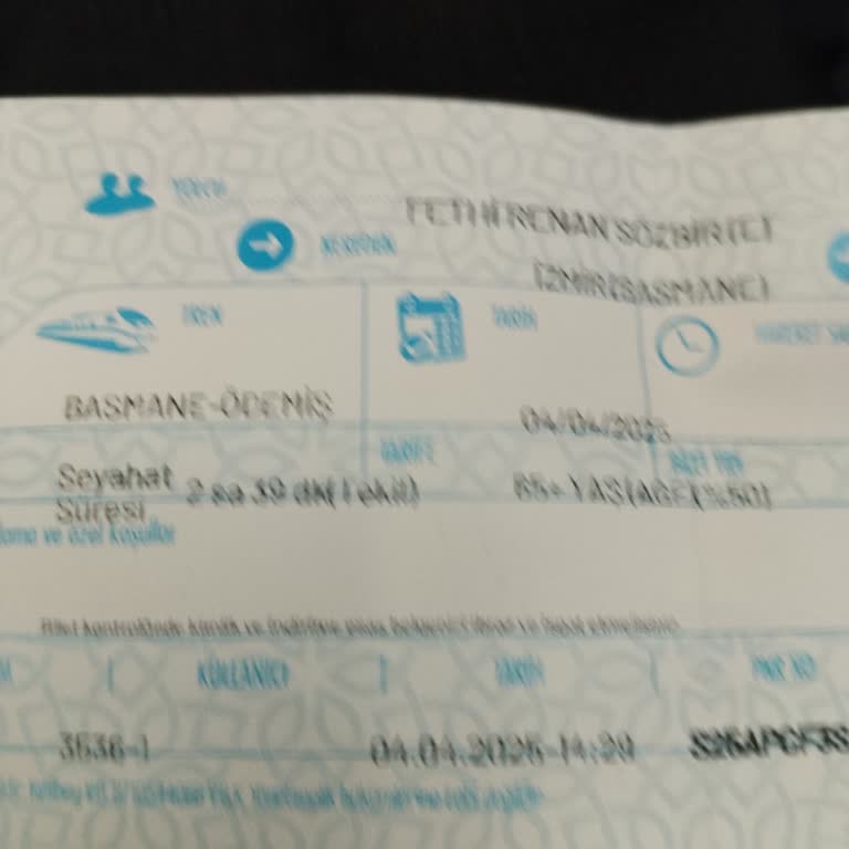 2025'te Yavaş Tren Yolculuğu: Modern Çağda İlkellik