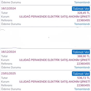 Elektrik Faturasındaki Gizemli Devlet Desteği Ve Şaşırtıcı Artış