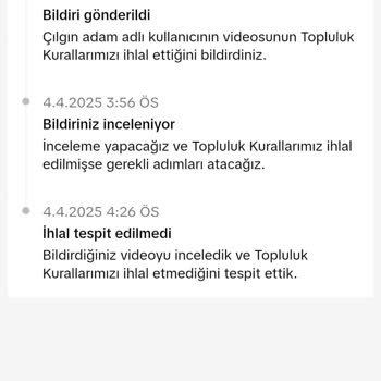 TikTok'un Olumsuz İçerik Politikası Ve Gizlilik İhlalleri