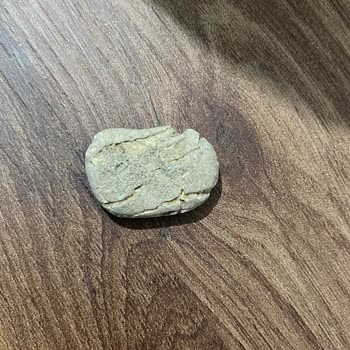 Siirt Fıstığı Paketinde Taş Çıkması