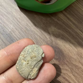 Siirt Fıstığı Paketinde Taş Çıkması