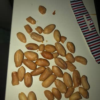 Yanmış Yer Fıstıkları: Tadım Kalitesini Düşürüyor Mu?