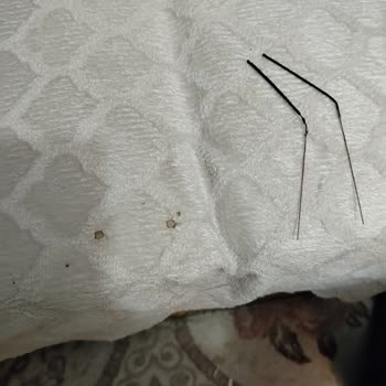 Tuğba Ekmek Ve Pasta Fırını Maytap Oturma Grubunu Deldi