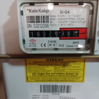 Emekli Müşteriden Doğugaz'a Yüksek Fatura Tepkisi: CİMER'e Şikayet Yolda