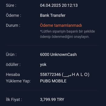 Banka Transferinde Gecikme Ve Hata Sorunu