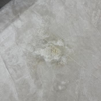 Karmen Halı'nın Lekeleri Çıkmayan Halıları Ve Müşteri Hizmetleri Sorunu