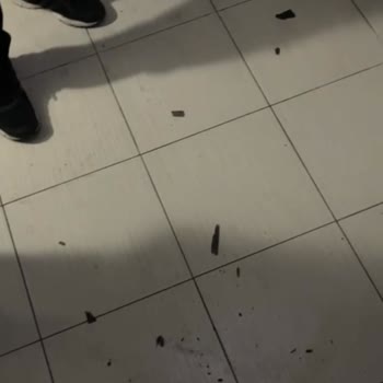 Gerçeklik Algısını Bozan Manipülatif Yanıtlar Ve Hijyen Sorunları
