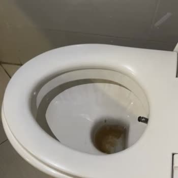 Gerçeklik Algısını Bozan Manipülatif Yanıtlar Ve Hijyen Sorunları