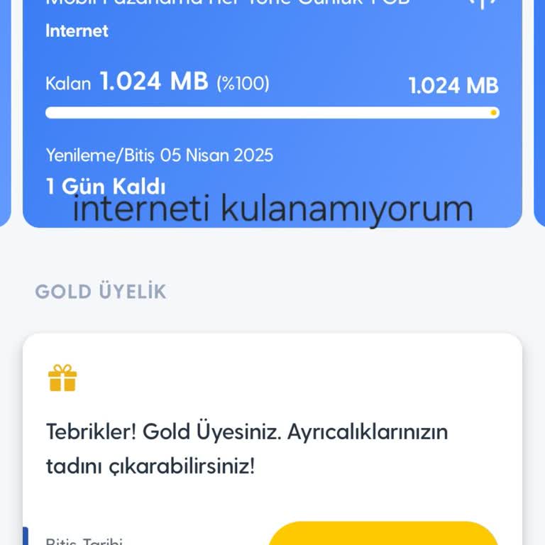 Kullanılamayan İnternet Paketi Sorunu