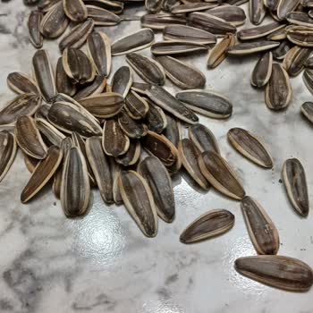 Amigo Çekirdeklerde Boş Kabuk Sorunu