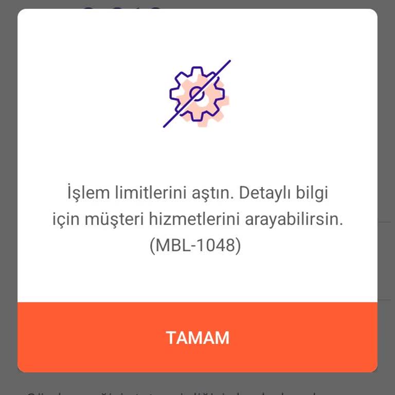 Pokus Hesabına Gönderilen Paranın Çekilememesi Sorunu
