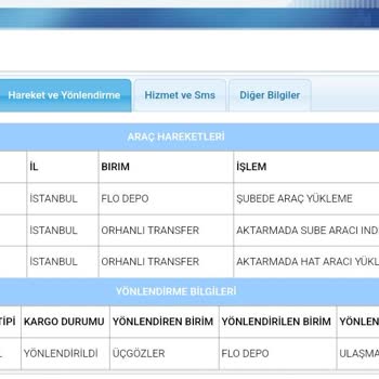 Kayıp Ayakkabı: Kargo Karmaşası