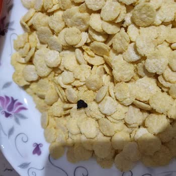 Mısır Gevreklerinde Hijyen Sorunu Ve Dikkatsizlik