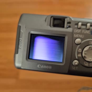 Gardrops Alıcı Koruması: Mağduriyet Ve Hayal Kırıklığı