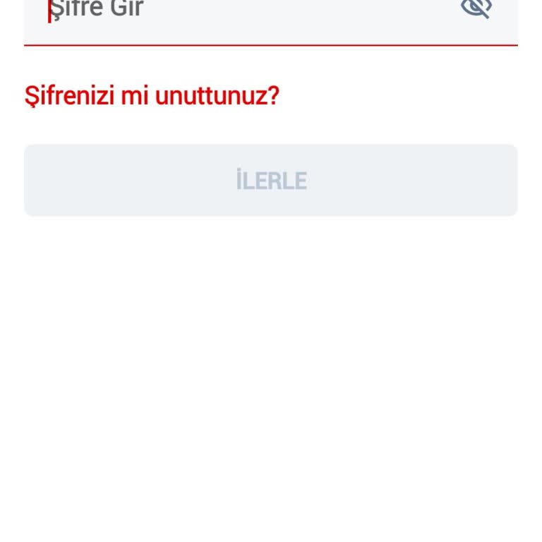 Güvenli Depo Giriş Sorunu Ve Müşteri Hizmetleri Erişimsizliği