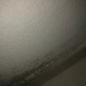 Öz Kale Cam Balkon: Buhar Ve Su Sızıntısı Sorunlarıyla Mücadele