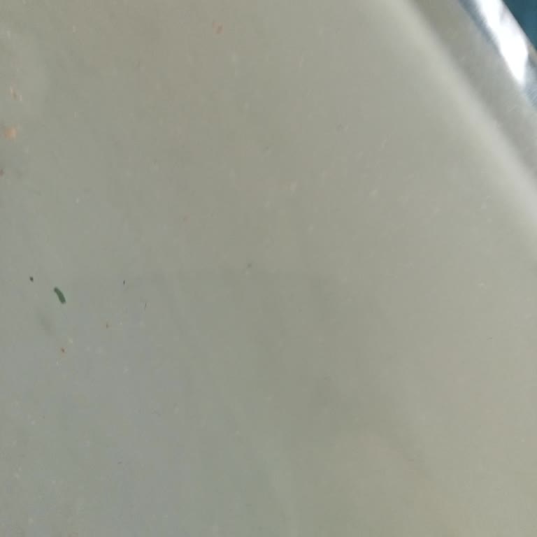Onaysız Para Çekimi Şikayeti