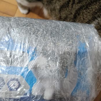 Eksik Ve Kullanılmış Kedi Kumu Teslimatı