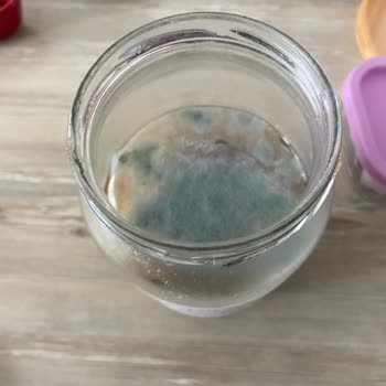 Ayva Reçeli Sıvı, Zeytin Küflü Çıktı, Geri Dönüş Yok