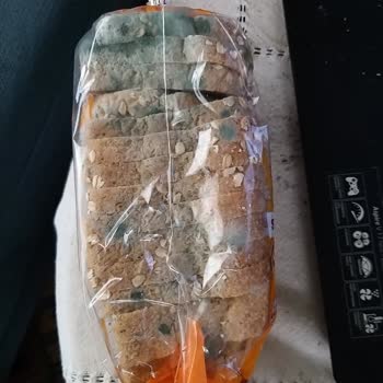 Migros Hemen'de Küflü Ürün Şoku Ve İade Sorunu