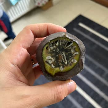 Çürük Avokado Krizi: Yanlış Paketleme Ve Yetersiz Çözüm