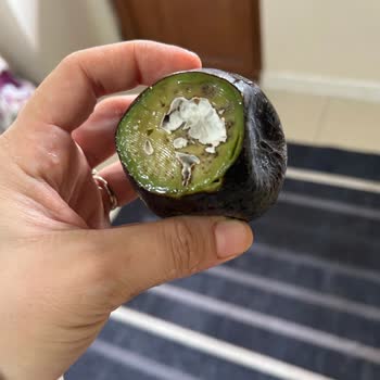 Çürük Avokado Krizi: Yanlış Paketleme Ve Yetersiz Çözüm