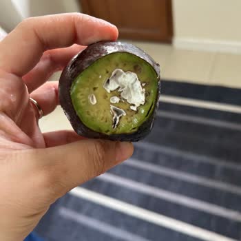 Çürük Avokado Krizi: Yanlış Paketleme Ve Yetersiz Çözüm