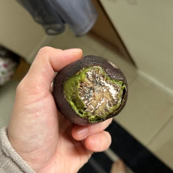 Çürük Avokado Krizi: Yanlış Paketleme Ve Yetersiz Çözüm