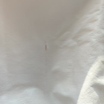 Defolu Ürün Gönderimi: Su Geçirmez Alezde Büyük Hayal Kırıklığı