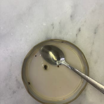 Domates Kurusu Sosunda Böcek Şoku: Sağlığımız Tehlikede!